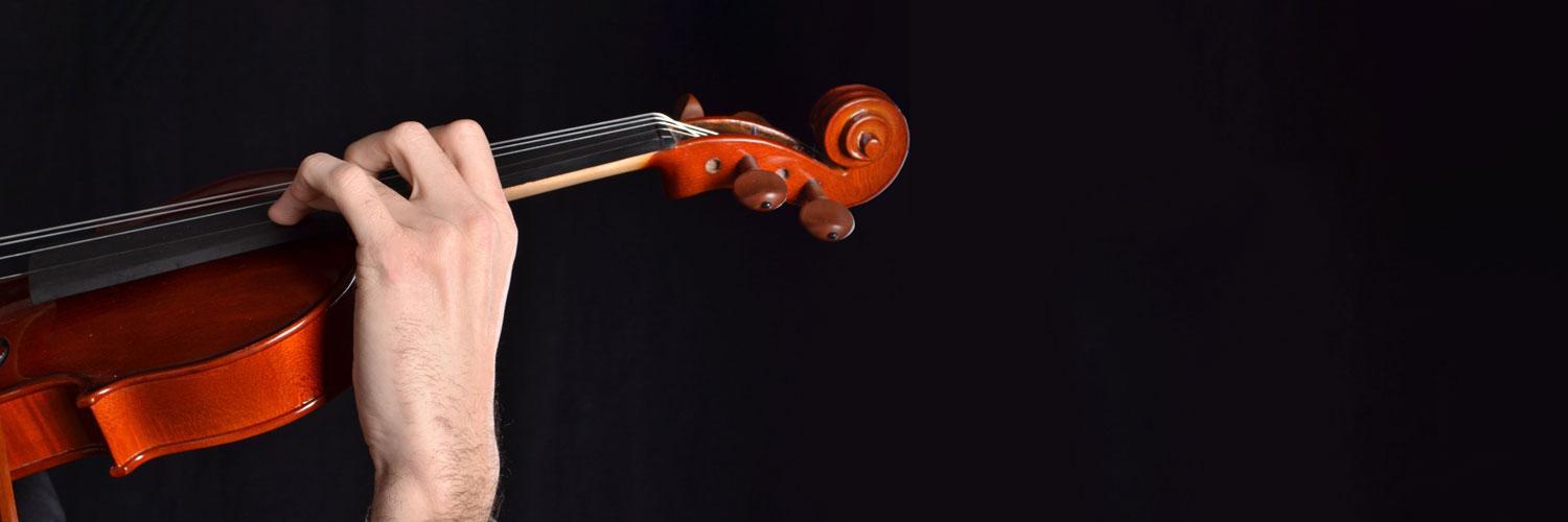 Hand holding neck of violin