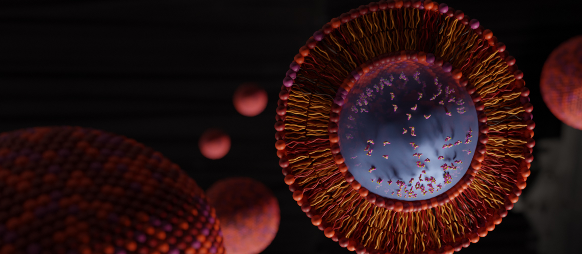 3D rendering of cationic liposomal nanoparticle