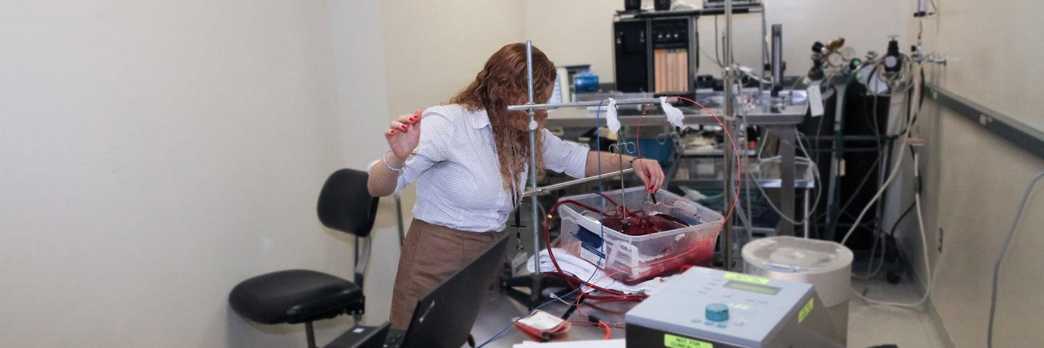 Faraneh Fathi working in Biophotonics Lab