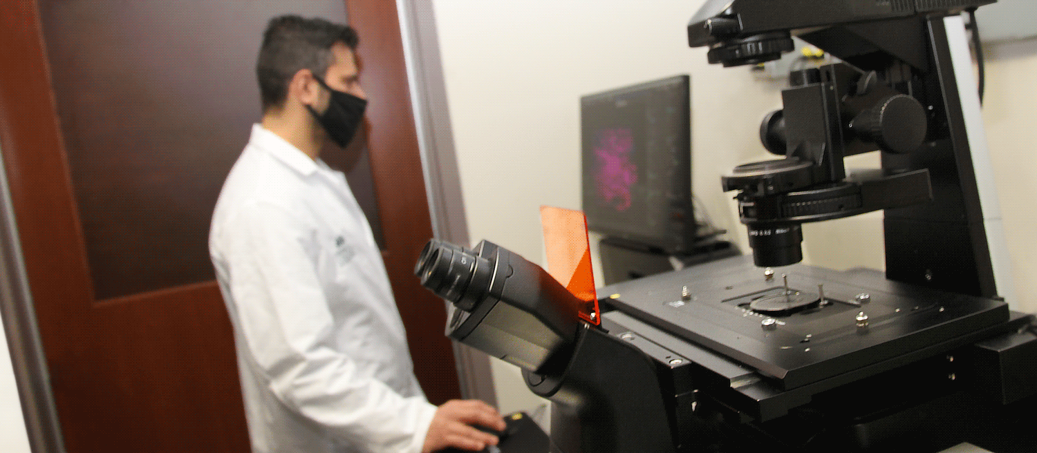 Shayan Shafiee working in the Nanomedicine and Image-Guided Interventions Laboratory.