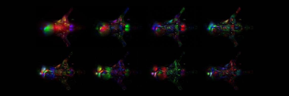 Science image from Nanomedicine and Image-Guided Interventions Laboratory
