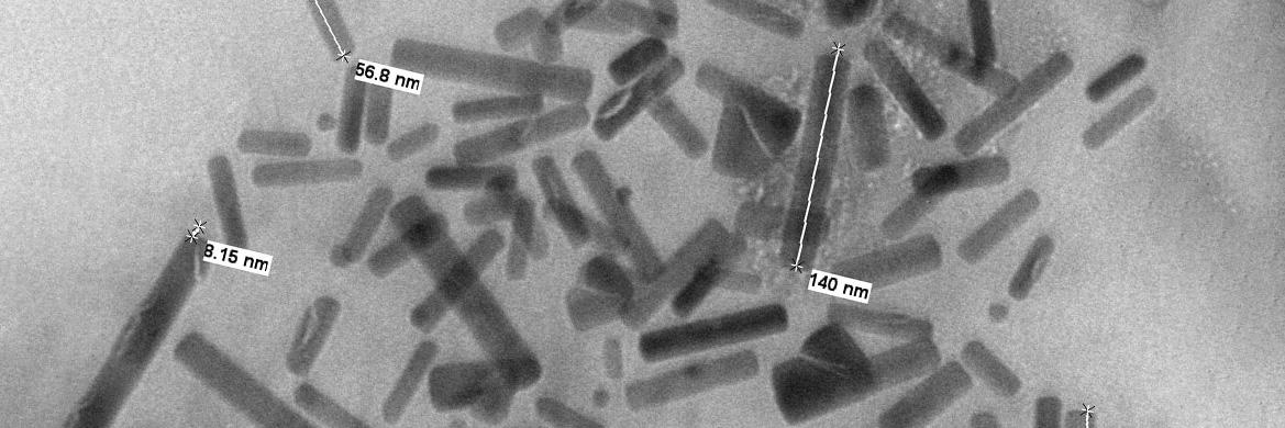 Science Image from Nanomedicine and Image-Guided Interventions Laboratory