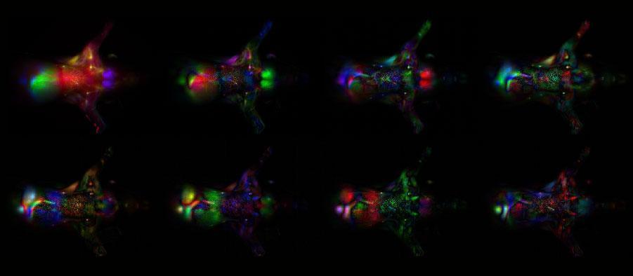 Science image from Nanomedicine and Image-Guided Interventions Laboratory