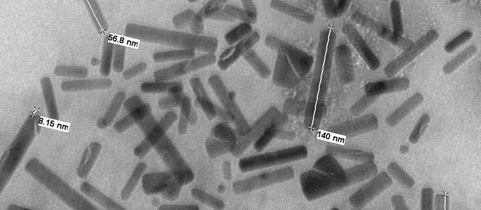 Science Image from Nanomedicine and Image-Guided Interventions Laboratory