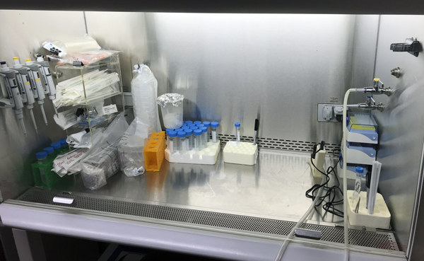 Cell Culture Room in the Cardiovascular Regenerative Engineering Laboratory