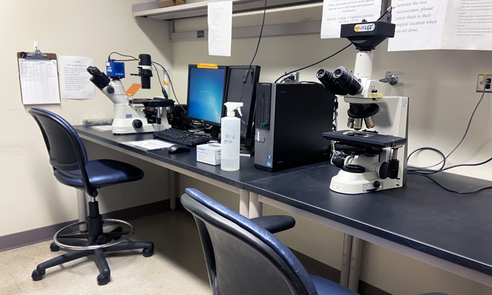 Microscope Room at the Cardiovascular Regenerative Engineering Laboratory