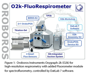 Diagram of Oroboros Instruments Oxygraph-2k
