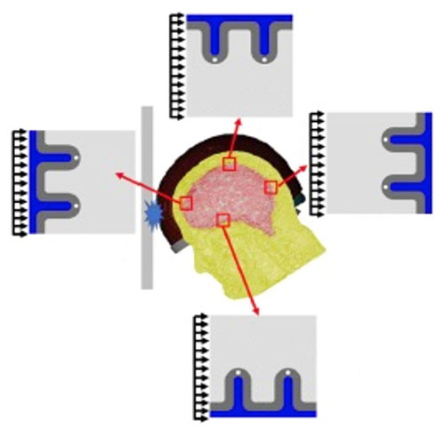 Graphic of blunt force trauma to the head with blood flow measured in all four lobes