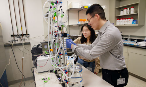 Dr. Fan in MU-MCW BME Research Lab with graduate student