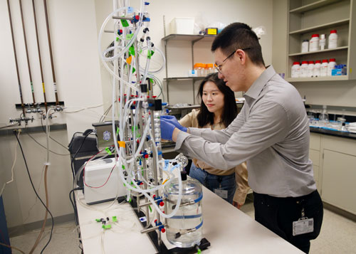 Dr. Lei Fan in research lab with graduate student