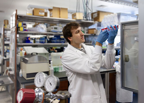 Student working in the lab