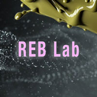 REB Lab logo