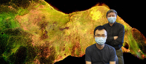 Dr. Bing Yu and student with image created by novel technology under development in the Biophotonics Laboratory