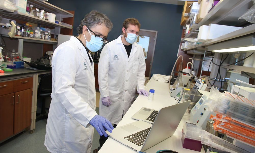 Graduate students working in the Nanomedicine & Image-guided Interventions Laboratory.