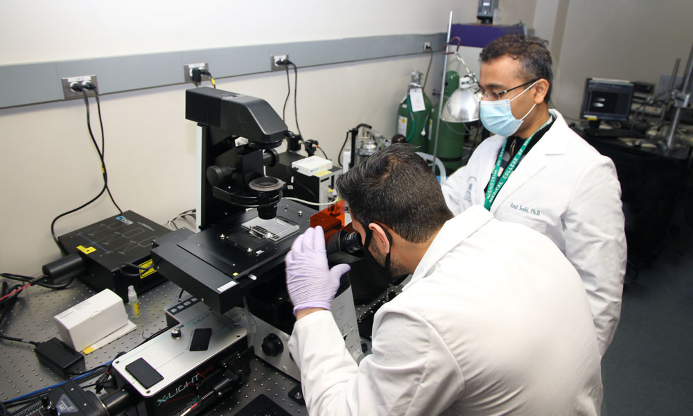 Dr. Amit Joshi working with grad student in nanotechnology lab