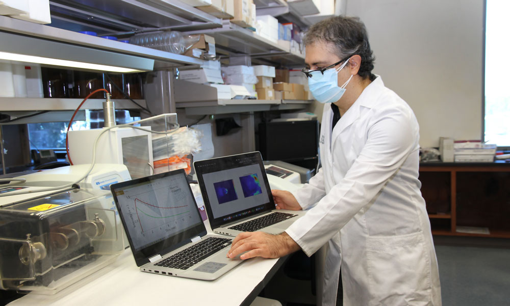 Graduate student Razeghi working in the Nanomedicine & Image-Guided Interventions Laboratory