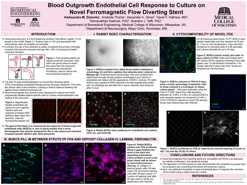 Zielonka research poster 2023