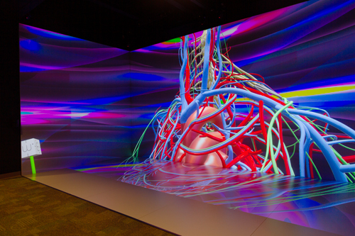 Rendering of vasculature in VisLab Cave