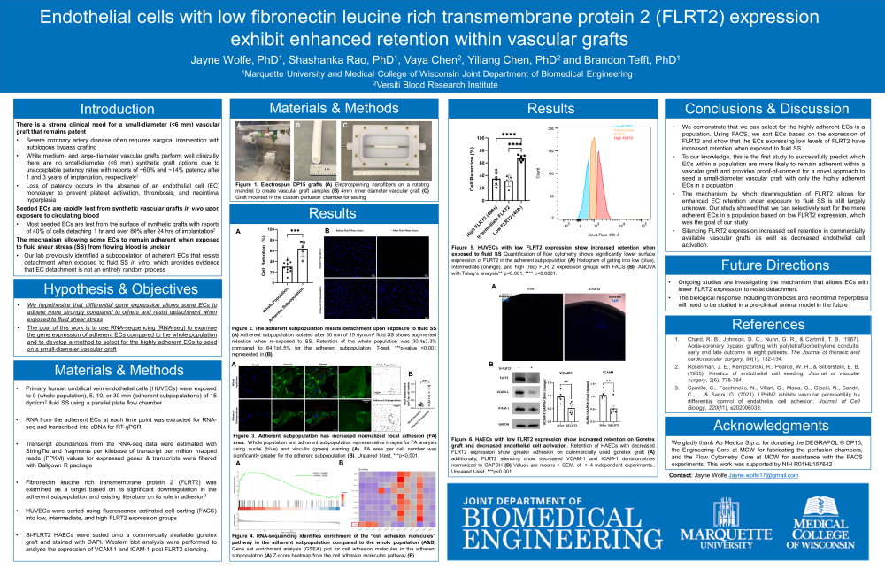 Poster titled "Endothelial cells with low fibronectin leucine rich transmembrane protein 2 (FLRT2) expression exhibit enhanced retention within vascular grafts"