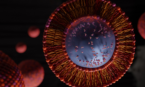 3D rendering of cationic liposomal nanoparticle