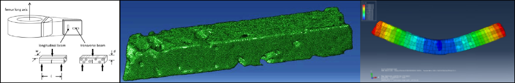 Image showing Cortical Beam Machining, Micro-CT, 3D Image, Finite Element Beam Model